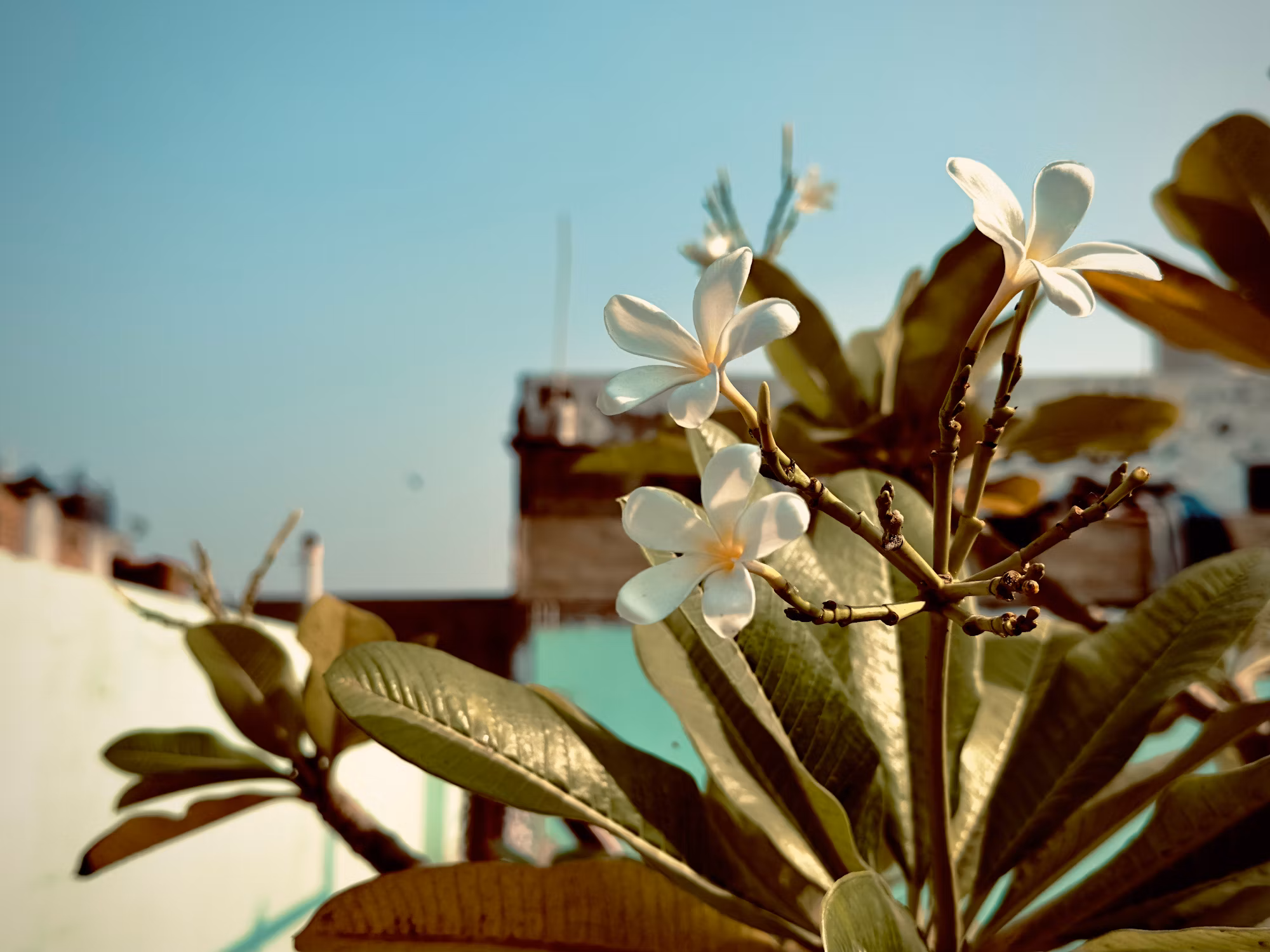 Crafting Meaningful Connections: The Art of Conversation in Dating